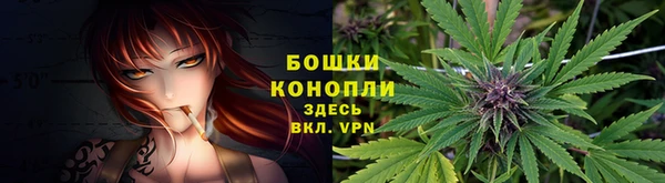 ALPHA-PVP Кинешма