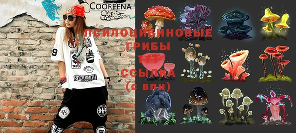 СК Киреевск